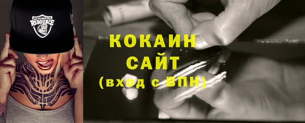 сатива Армянск