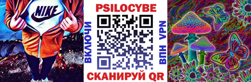 Псилоцибиновые грибы Psilocybe  как найти   Урай 